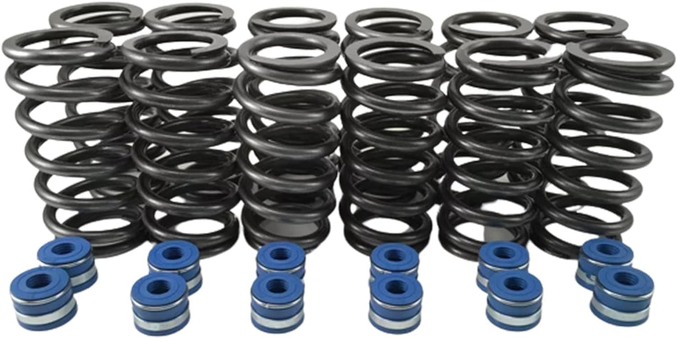 Cummins 6BT 12V Dodge +60 lbs Valve Springs + Viton Seals - Set of 12 - NEW